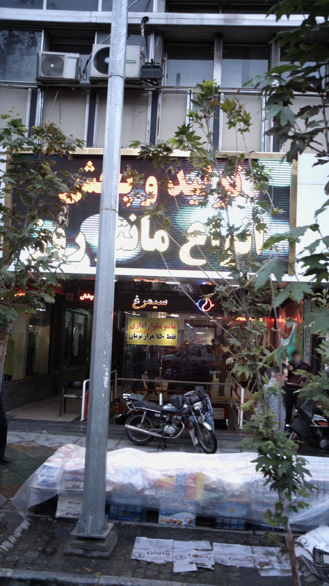 مانتو هاشمی