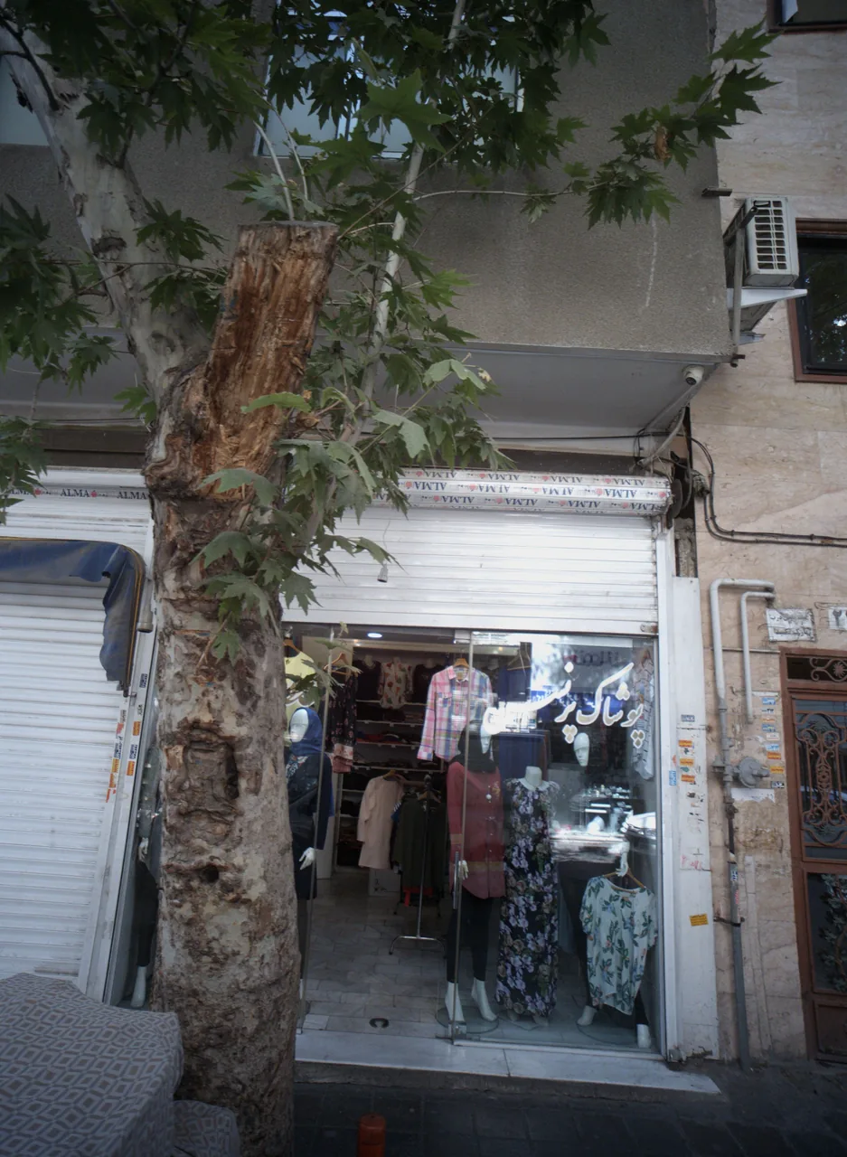 پوشاک پرنسس