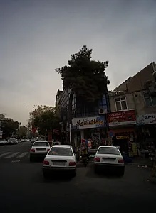پوشاک دایان