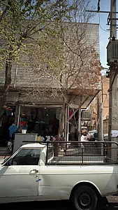 پوشاک تن پوش