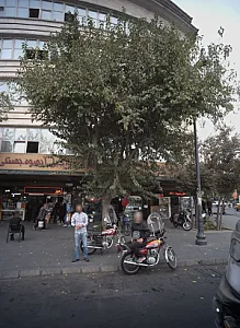 فروشگاه بدلیجات و پوشاک و آرایشی