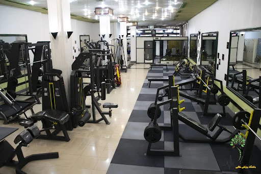 مجتمع فرهنگی ورزشی طلایی