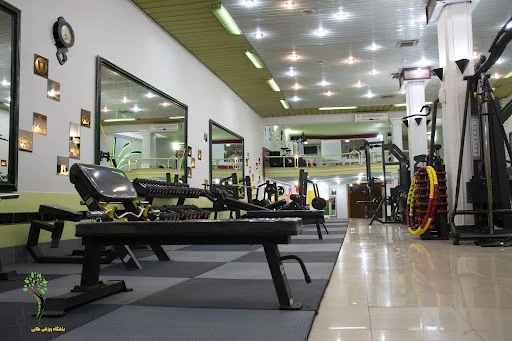 مجتمع فرهنگی ورزشی طلایی