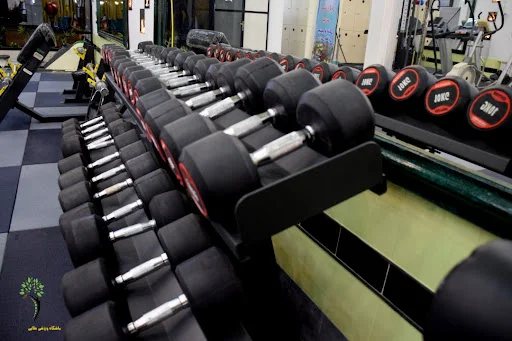 مجتمع فرهنگی ورزشی طلایی