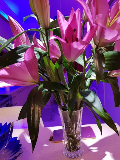 باشگاه ورزشی آذراب