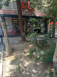 فست فود پاییز