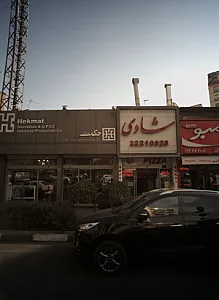فست فود شادی