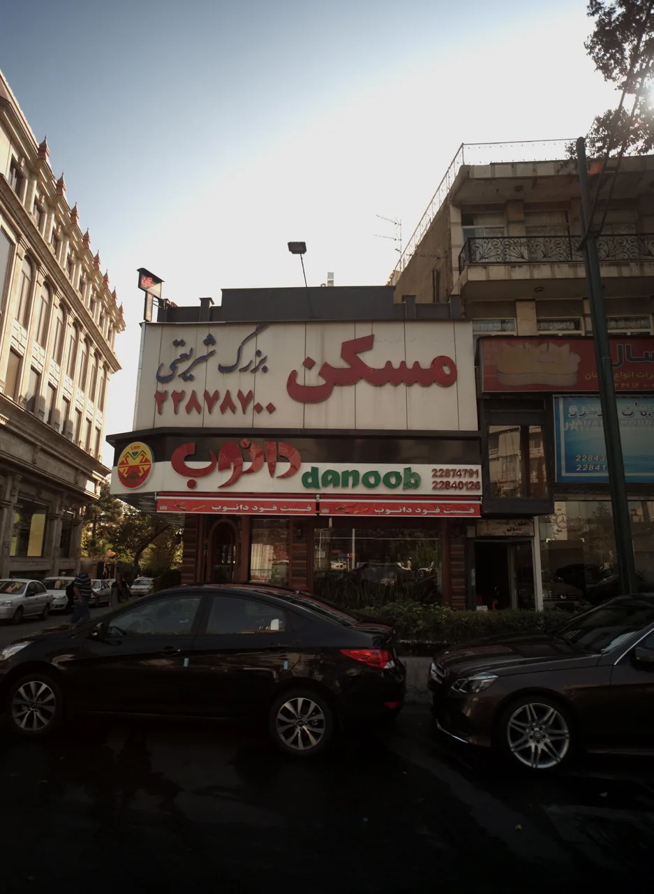 فست فود دانوب