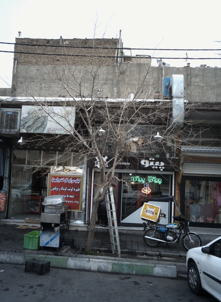 فست فود پیتو
