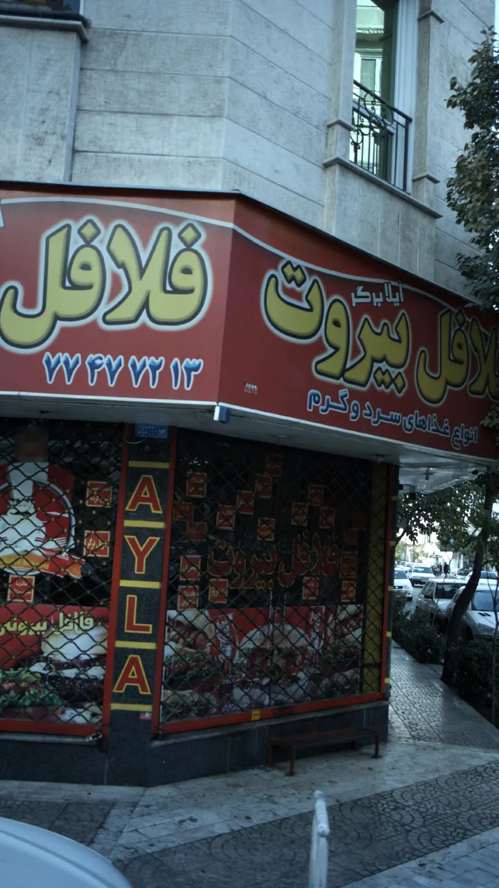 آیلا برگر و فلافل بیروت - تصویر 4