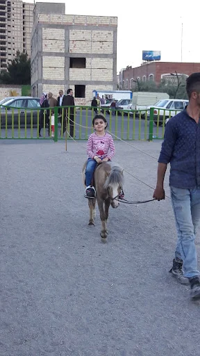 مجتمع رفاهی ایثارگران صدرا