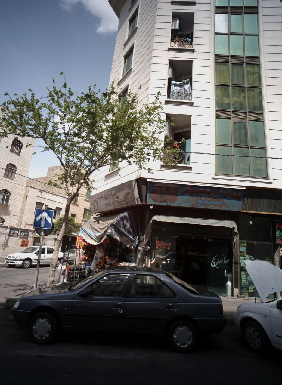 فست فود سبز