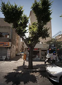 فست فود طهران همبرگر