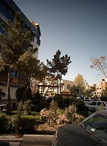 فست فود دیانتو