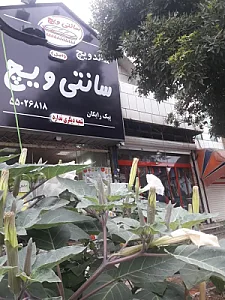 فست فود سانتی