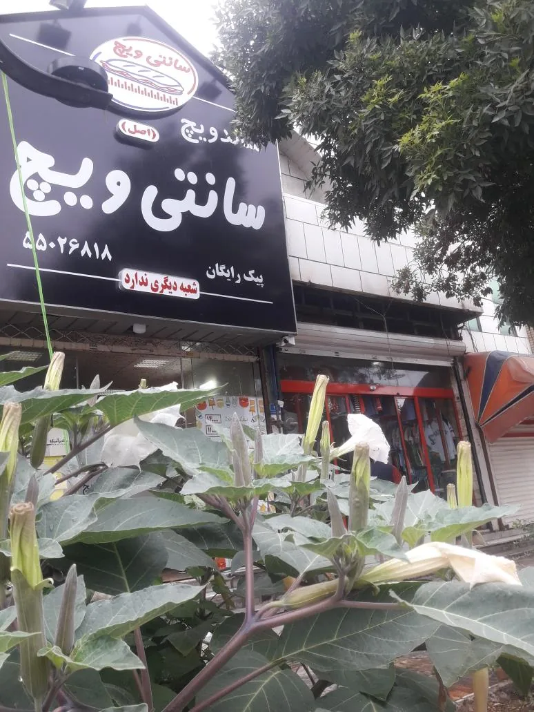 فست فود سانتی