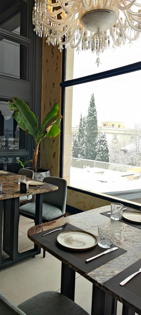 رستوران و فست فود وی آی پی - تصویر 2