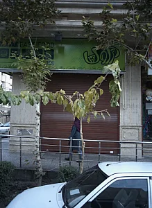 فست فود ژاوک