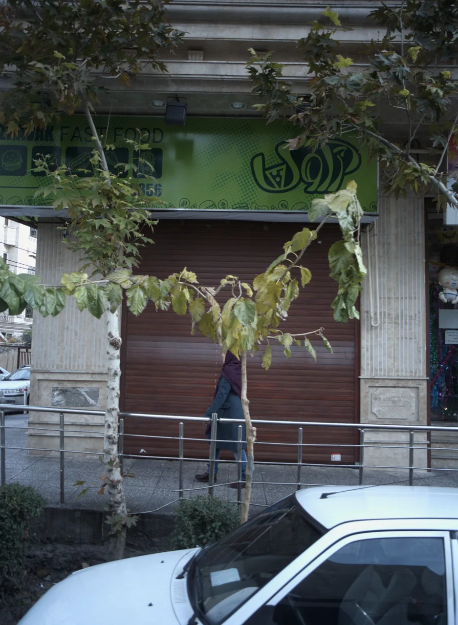 فست فود ژاوک