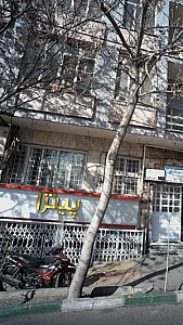 فست فود پیتزا