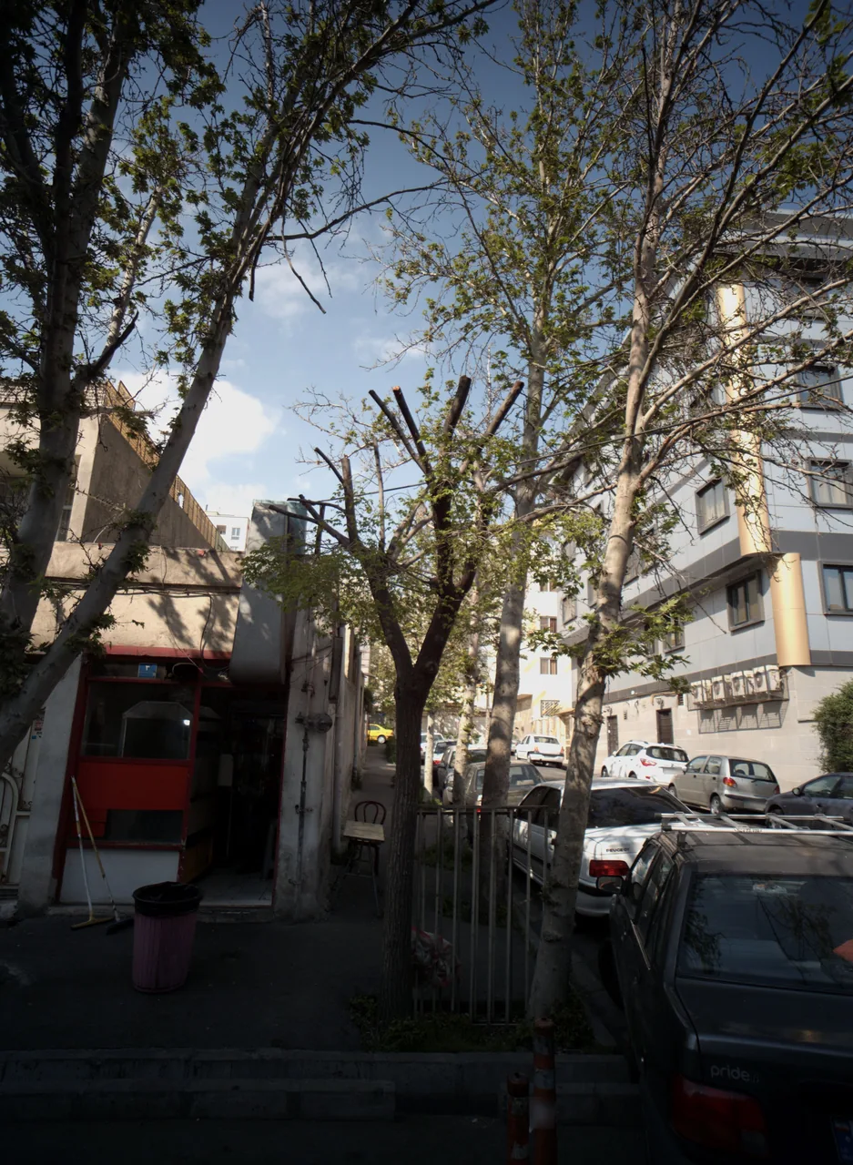فست فود