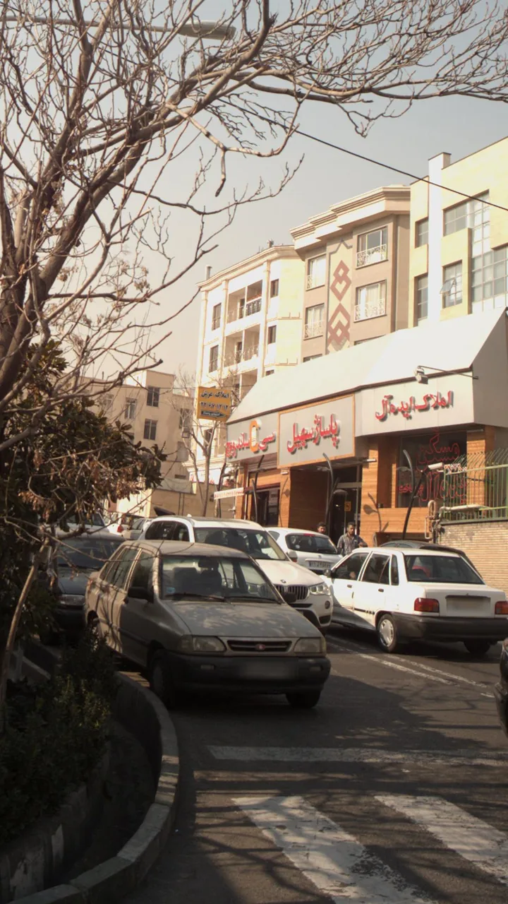 فست فود سی ساندویچ - تصویر 4