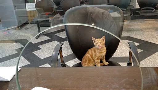 بانک ملی ایران - شعبه دکتر شریعتی - بانک در تبریز