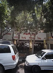 فست فود دور همی