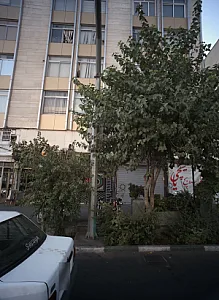 فست فود یایچی