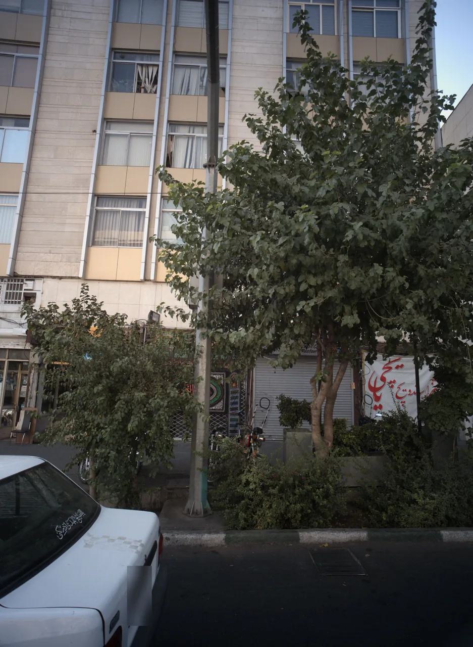 فست فود یایچی