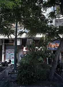فست فود تیک اِوی