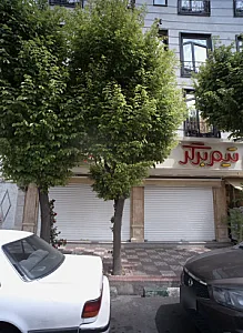 فست فود تیم برگر