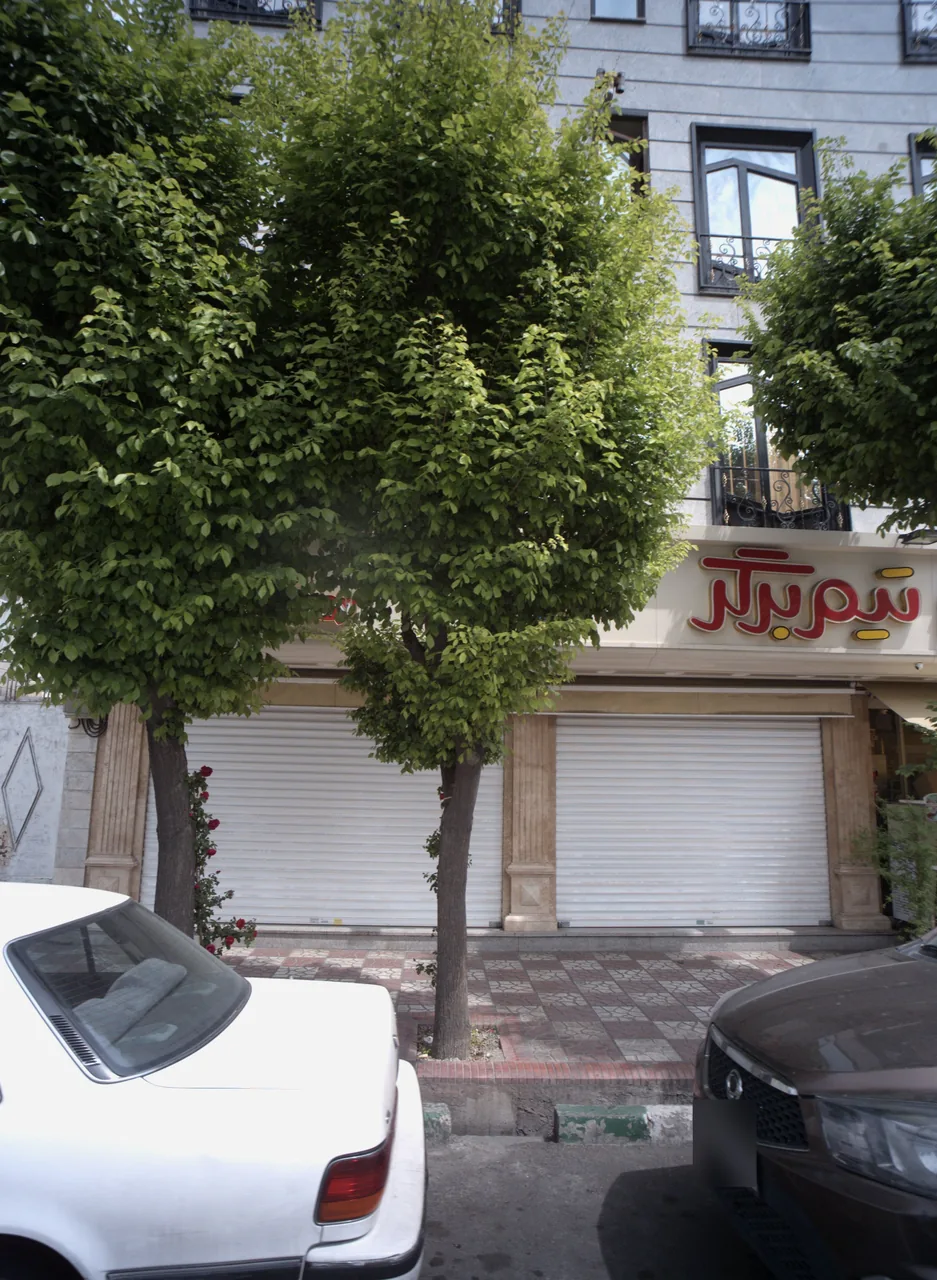 فست فود تیم برگر