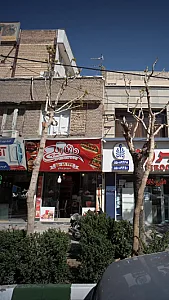 فست فود داناویچ