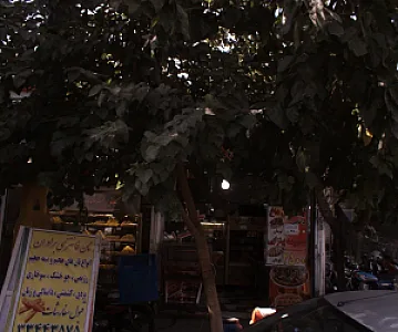 فست فود