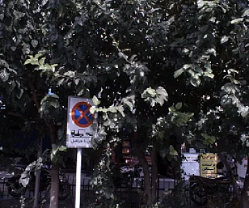 فست فود