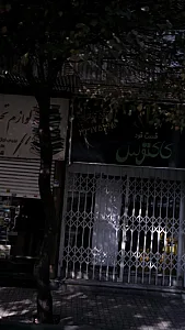 فست فود کاکتوس