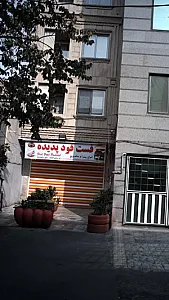 فست فود پدیده