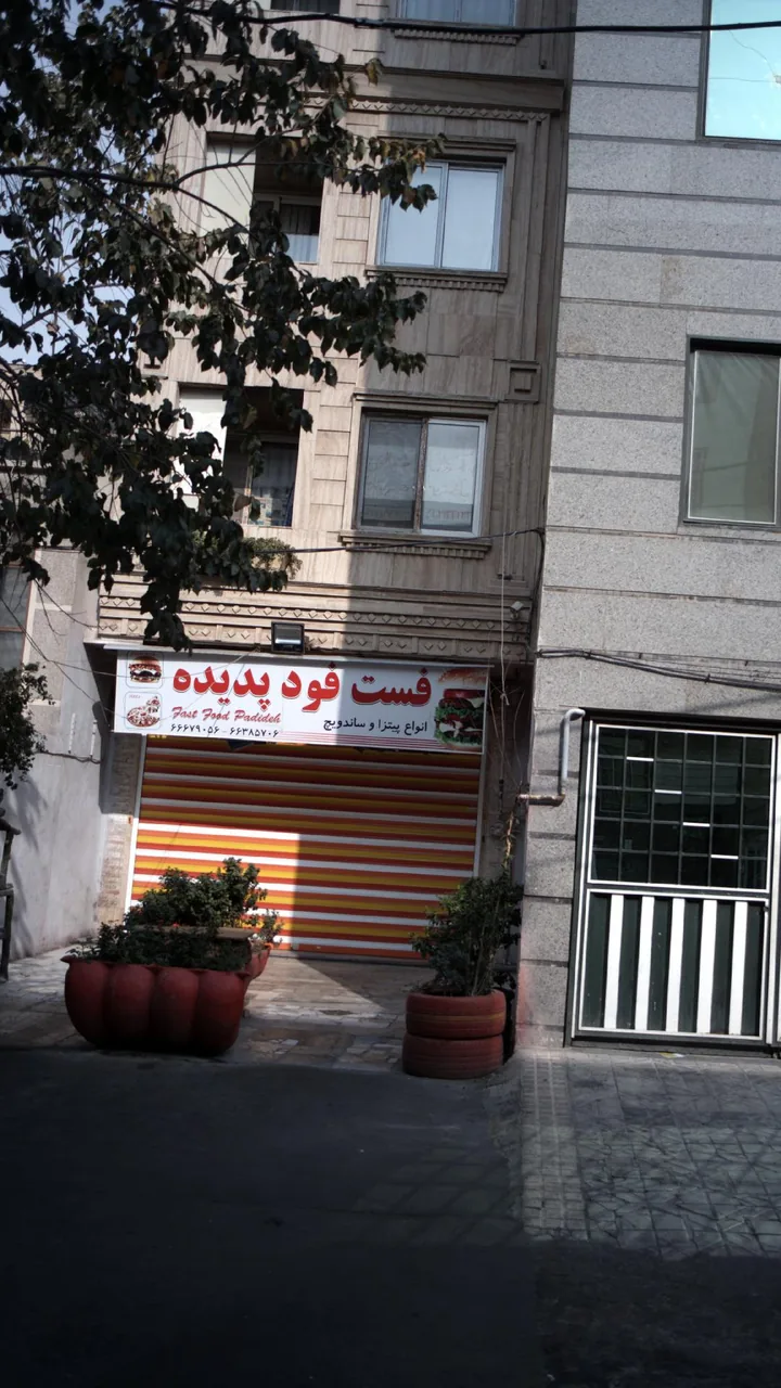فست فود پدیده
