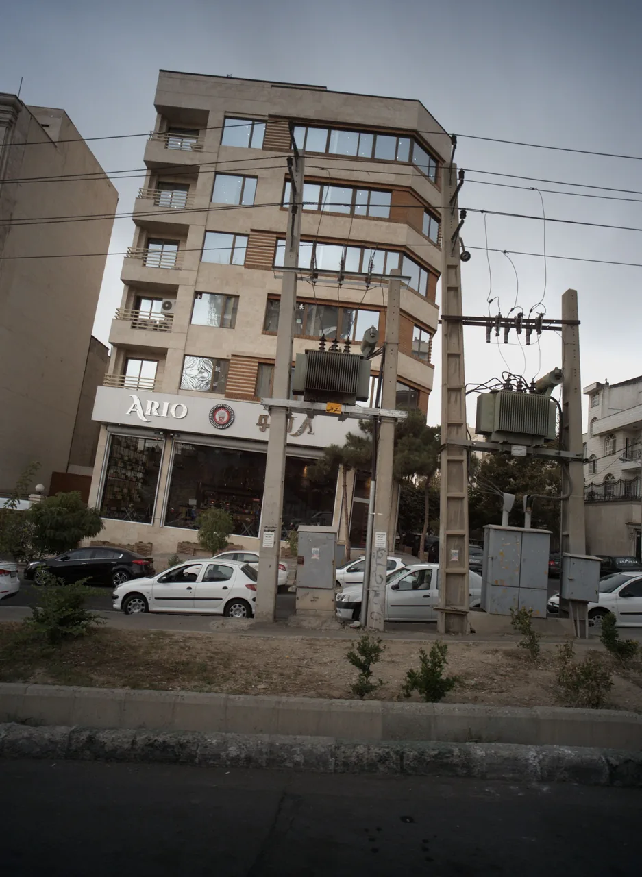 فست فود آریو