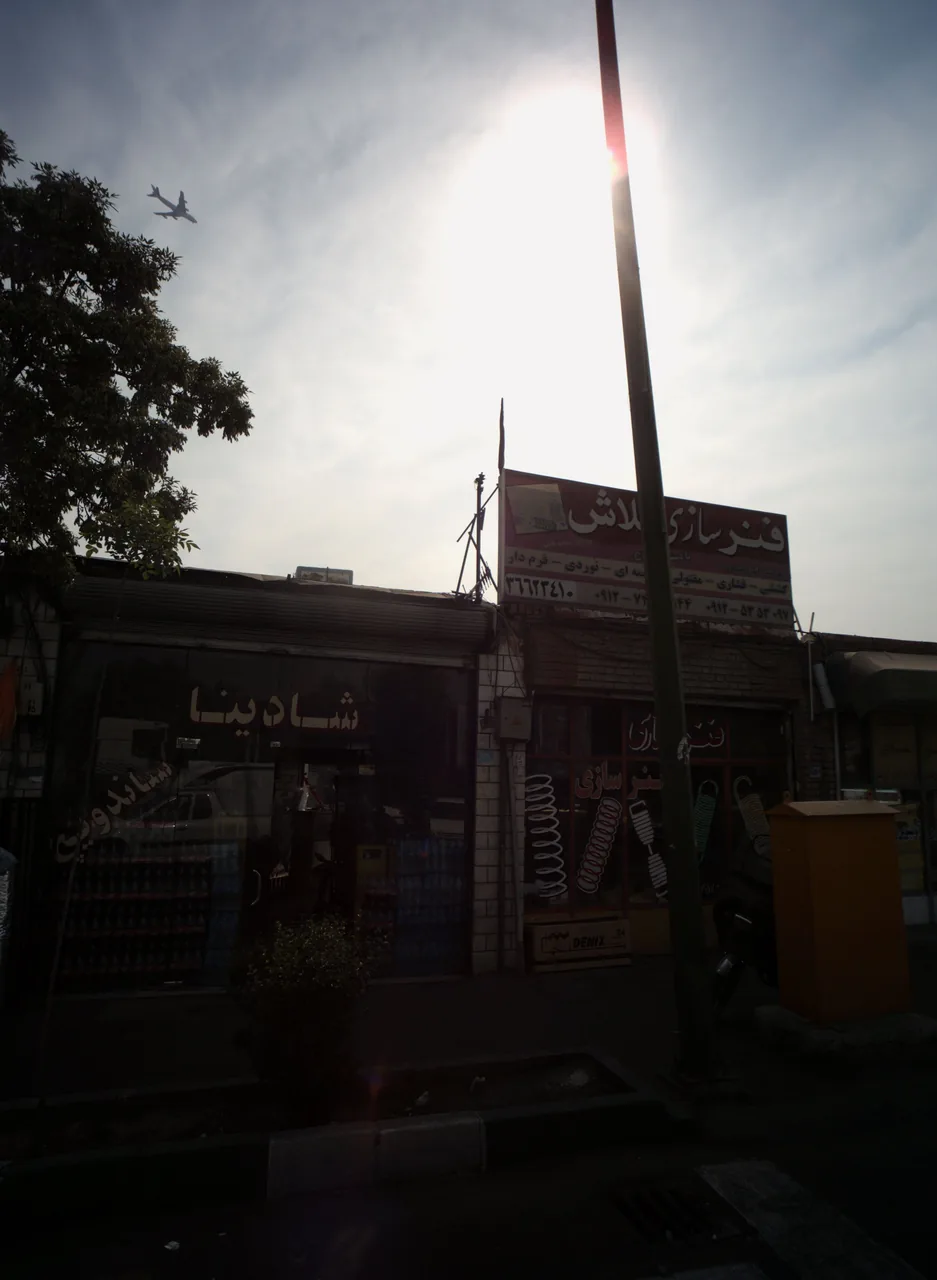 فست فود شادینا