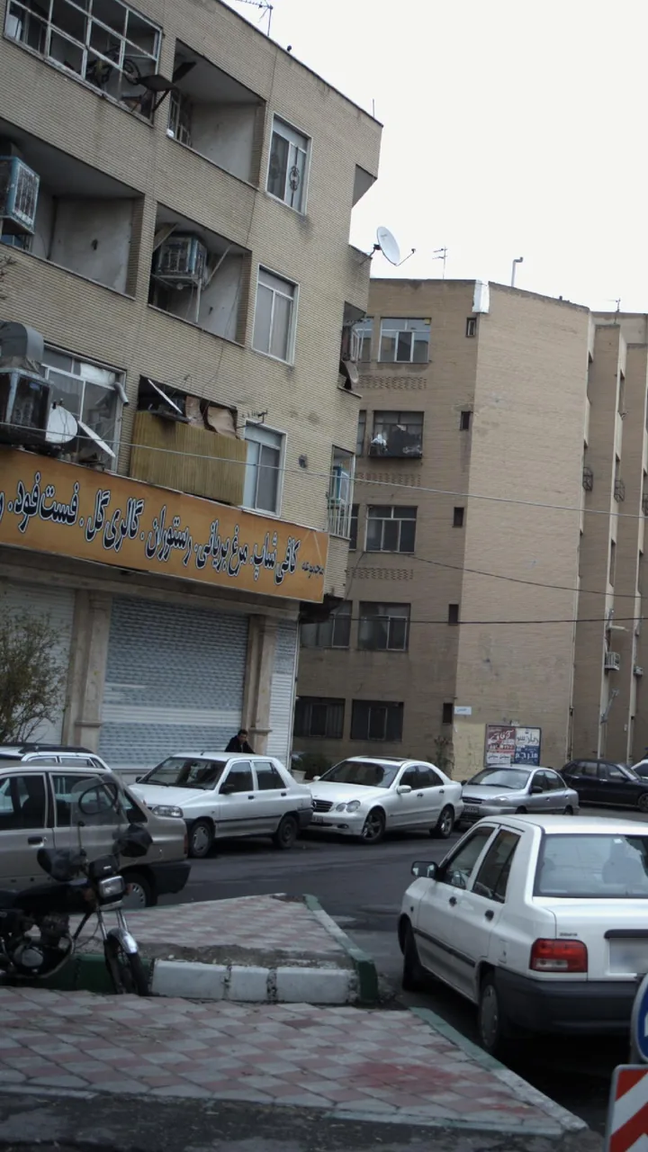 مجموعه کافی شاپ-مرغ بریانی-گل و فست فود