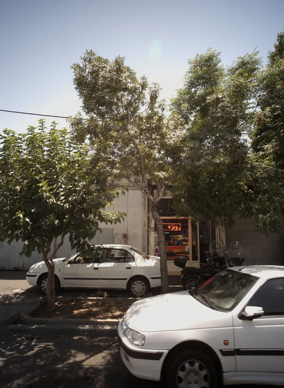 فست فود