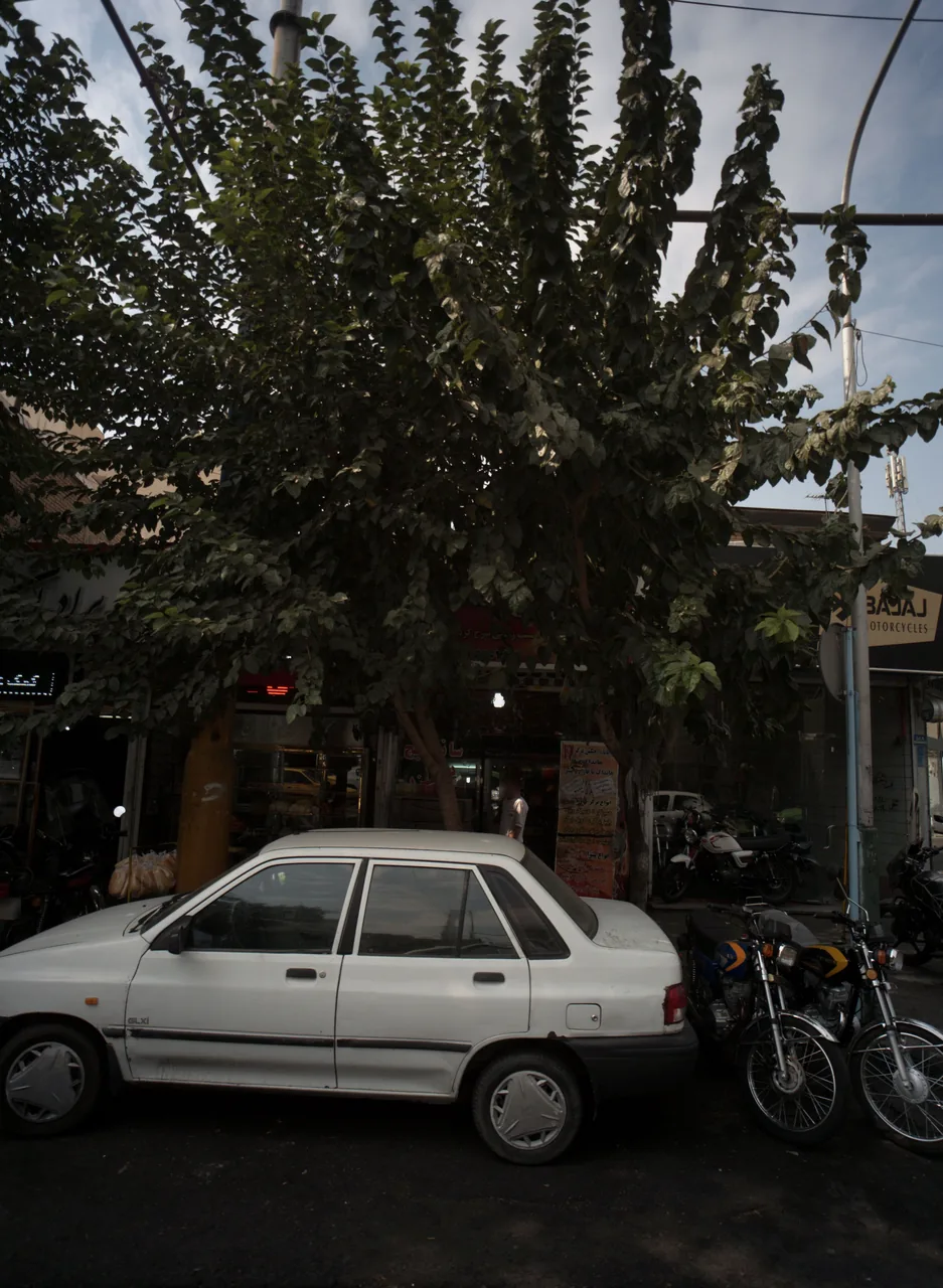 فست فود