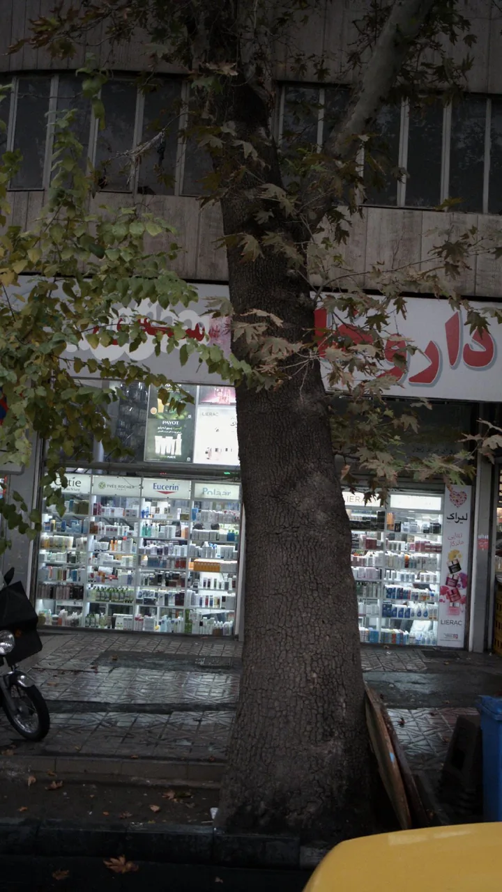 داروخانه شبانه‌روزی نلسون - تصویر 3