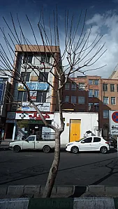 داروخانه دکتر صارمی
