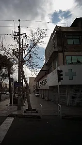 داروخانه دکتر حمید مرتضی قلی