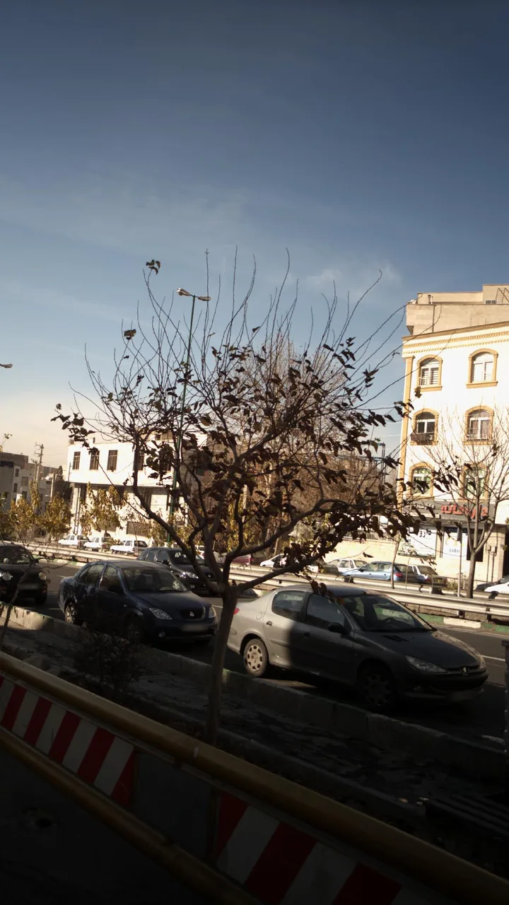داروخانه دکتر صادقیان - تصویر 3