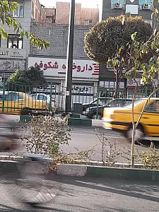 داروخانه شکوفه