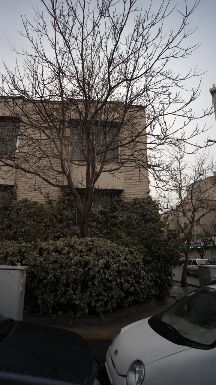 داروخانه دکتر قریب - تصویر 4